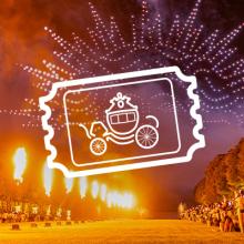 Les Grandes Eaux Nocturnes de feu 2026 - Billet Royal