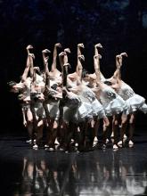 BALLET PRELJOCAJ : LE LAC DES CYGNES
