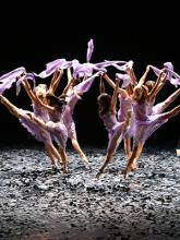 MALANDAIN BALLET BIARRITZ : L'AMOUR SORCIER ET DON QUICHOTTE